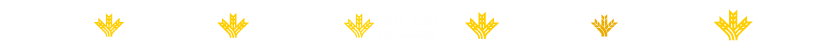 Logo Joven In