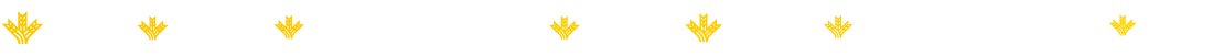 Logo Joven In
