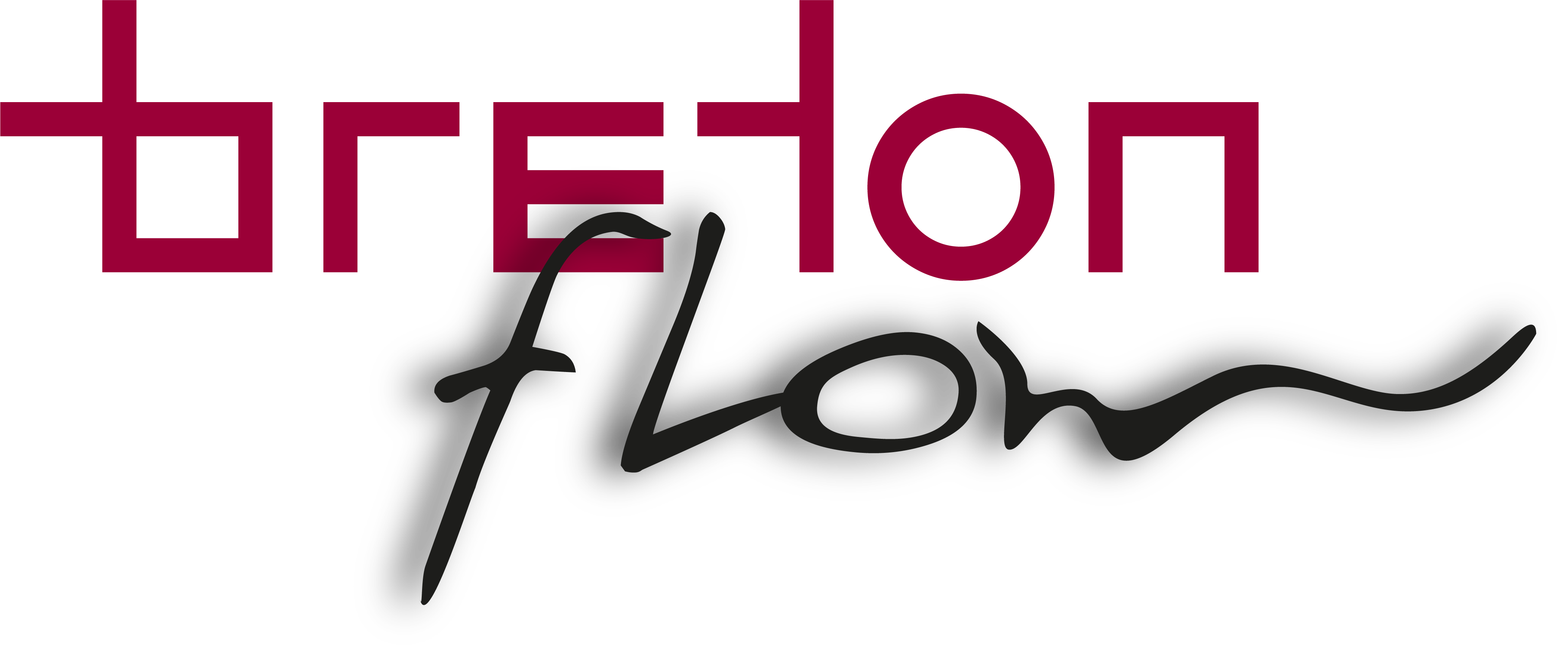 Home Bretonflow convenzioni