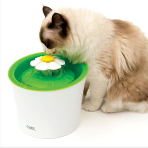 Imagem do produto Comida e acessórios para o seu animal de estimação 4