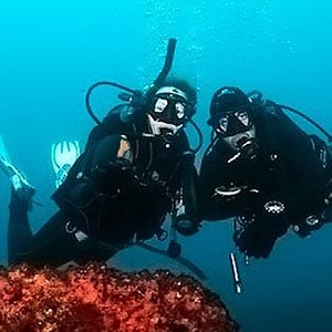 Imagem do produto Forma&ccedil;&atilde;o de Mergulho 1