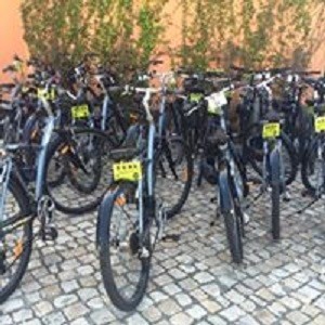 Imagem do produto Passeios de barco e bicicleta com apoio electrico 7