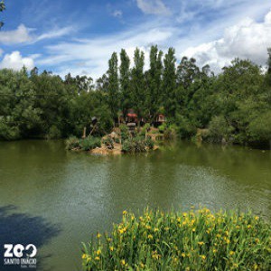 Imagem do produto O maior  Zoo do norte do país 3