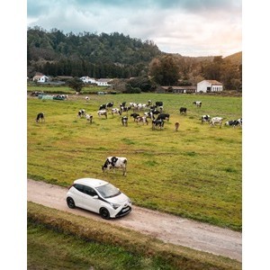 Imagem do produto Rent a Car 3