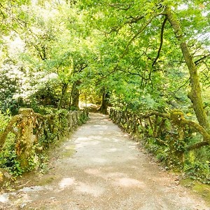Imagem do produto Situado em pleno coração do Parque Nacional Peneda-Gerês 7