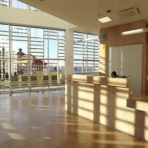 Imagem do produto Hospital de San&apos;Ana 5