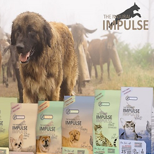 Imagem do produto Petshop com loja online 2