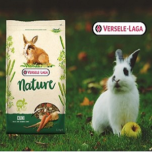 Imagem do produto Petshop com loja online 4