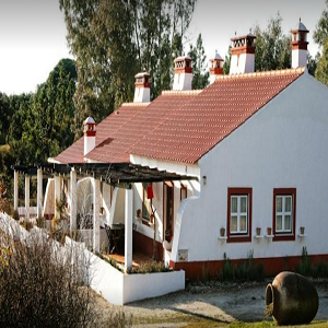Imagem do produto Casas de Campo 2