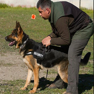 Imagem do produto Centro de Instrução Canina, na Aroeira 1