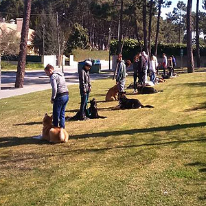 Imagem do produto Centro de Instrução Canina, na Aroeira 3