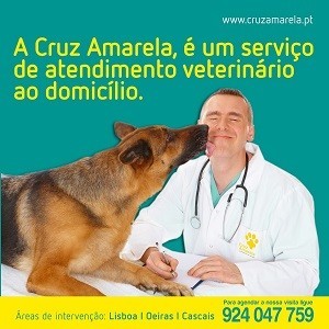 Imagem do produto Atendimento ao domicílio - Amadora, Cascais, Lisboa, Oeiras e Sintra. 1