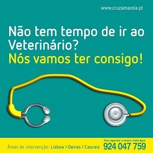 Imagem do produto Atendimento ao domicílio - Amadora, Cascais, Lisboa, Oeiras e Sintra. 2