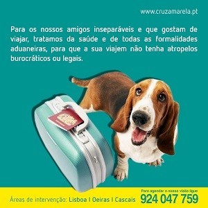 Imagem do produto Atendimento ao domicílio - Amadora, Cascais, Lisboa, Oeiras e Sintra. 3