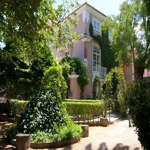 Imagem do produto Ensino privado, do Jardim de Infância ao Ensino Secundário, em Lisboa 2