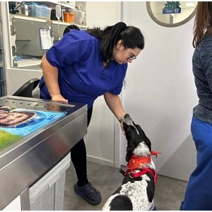 Imagem do produto Clínica Veterinária em Setúbal 2