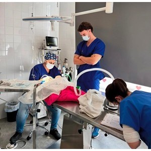Imagem do produto Clínica Veterinária em Setúbal 4