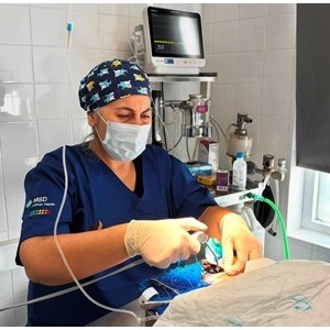 Imagem do produto Clínica Veterinária em Setúbal 6