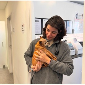 Imagem do produto Clínica Veterinária em Setúbal 8