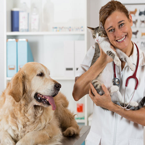 Imagem do produto Em Sesimbra, ao serviço do seu Pet 1