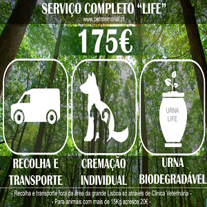 Imagem do produto Serviços fúnebres de animais 3