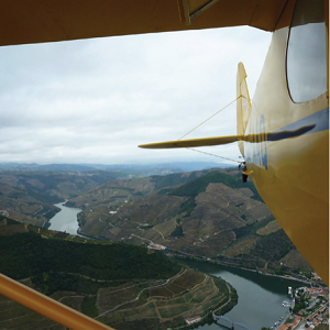 Imagem do produto A formar pilotos desde 1935 2