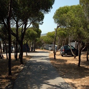 Imagem do produto Camping Orbitur - Guincho 8