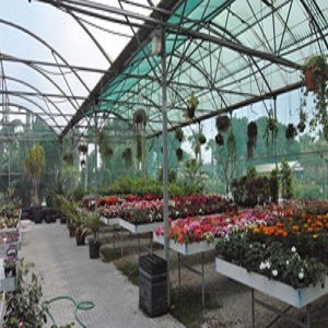 Imagem do produto Horto do Campo Grande - Centros de Jardinagem 1
