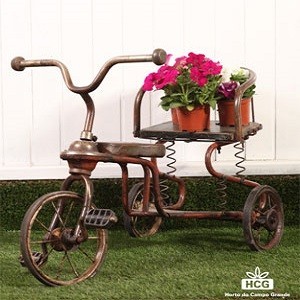 Imagem do produto Horto do Campo Grande - Centros de Jardinagem 2