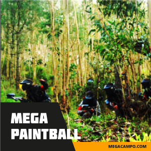 Imagem do produto Megacampo  - Parque Temático 1