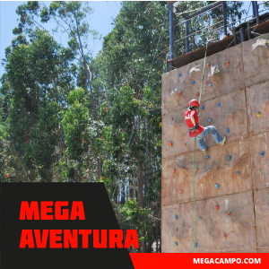 Imagem do produto Megacampo  - Parque Temático 6
