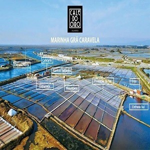 Imagem do produto Atividades Turísticas na Cidade de Aveiro 4