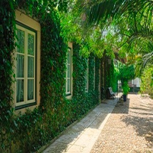 Imagem do produto Turismo de Habitação 1
