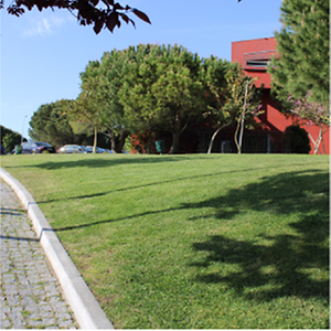 Imagem do produto Instituição de referência no panorama de ensino superior em Saúde em Portugal 3