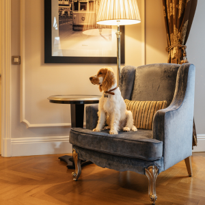 Imagem do produto Luxuoso e elegante hotel no centro do Porto 7