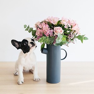 Imagem do produto Se ficar sem palavras, diga-o com flores 4
