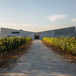 Imagem do produto Produção e comercialização de vinhos 1