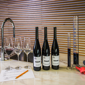 Imagem do produto Produção e comercialização de vinhos 3