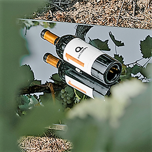 Imagem do produto Premium Wines 3