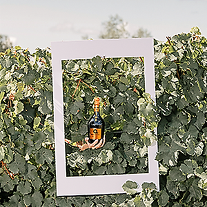 Imagem do produto Premium Wines 10