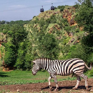 Imagen del producto Disfruta de un día en la naturaleza en Cabárceno 2