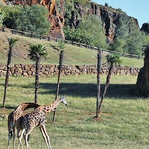 Imagen del producto Disfruta de un día en la naturaleza en Cabárceno 3