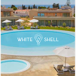 Imagem do produto White Shell 1