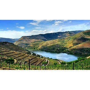 Imagem do produto Passeios no Douro a partir do Porto 2