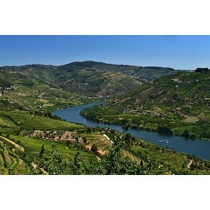 Imagem do produto Apaixone-se pelas Hist&oacute;rias do Porto 13