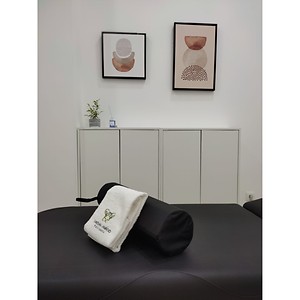 Imagem do produto Fisioterapia 4