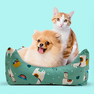 Imagem do produto Tudo o que precisa para o seu animal de estimação 6