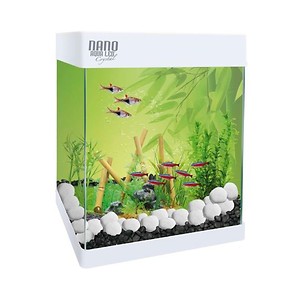 Imagem do produto Tudo o que precisa para o seu animal de estimação 7