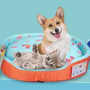 Imagem do produto Tudo o que precisa para o seu animal de estimação 3