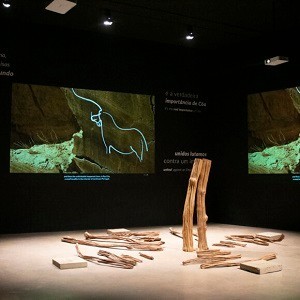 Imagem do produto Bem-vindo ao Museu e Parque Arqueológico do Vale do Côa 1